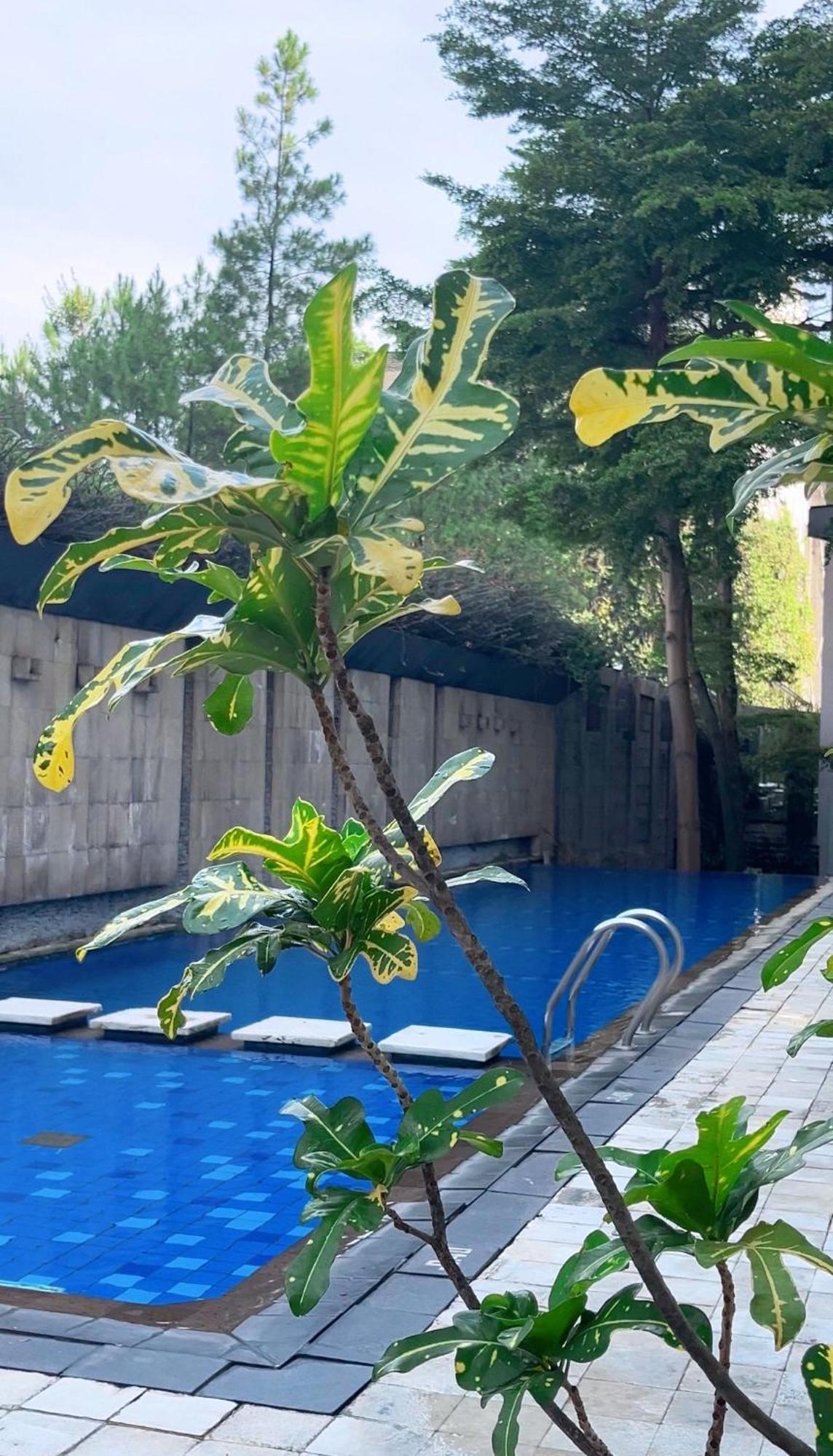 Novotel Bandung Exteriér fotografie